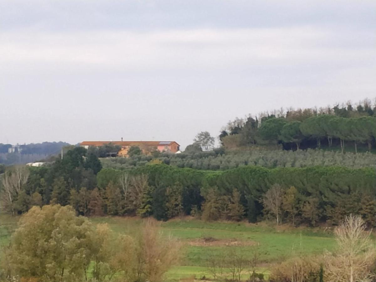 Agriturismo L'Isola Crespina Bagian luar foto