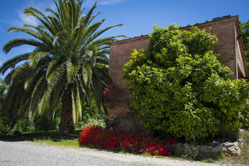 Agriturismo L'Isola Crespina Ruang foto
