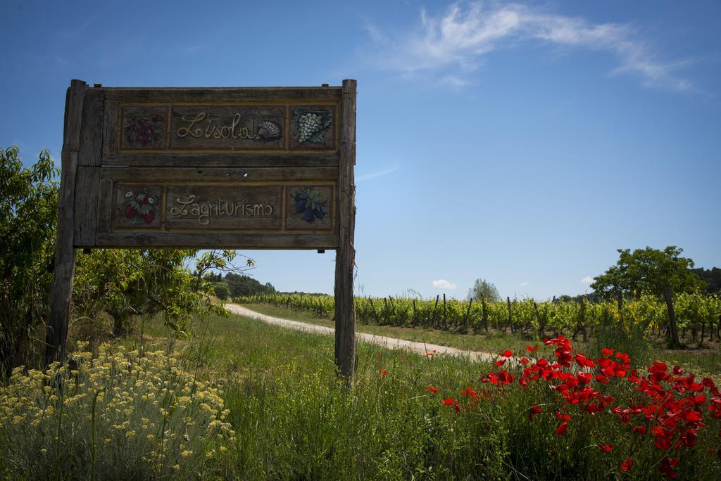 Agriturismo L'Isola Crespina Ruang foto