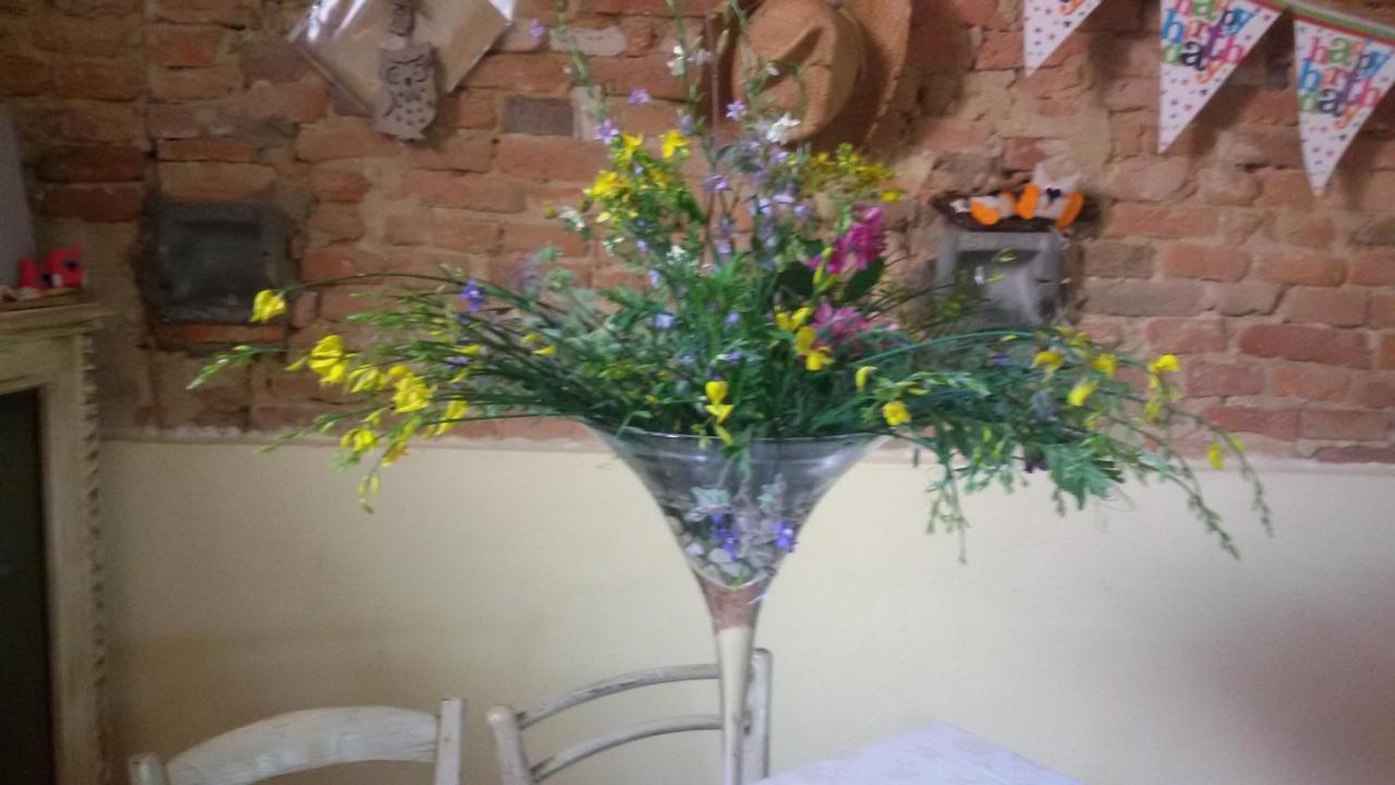 Agriturismo L'Isola Crespina Bagian luar foto